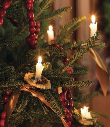 The Hidden History of the Christmas Tree