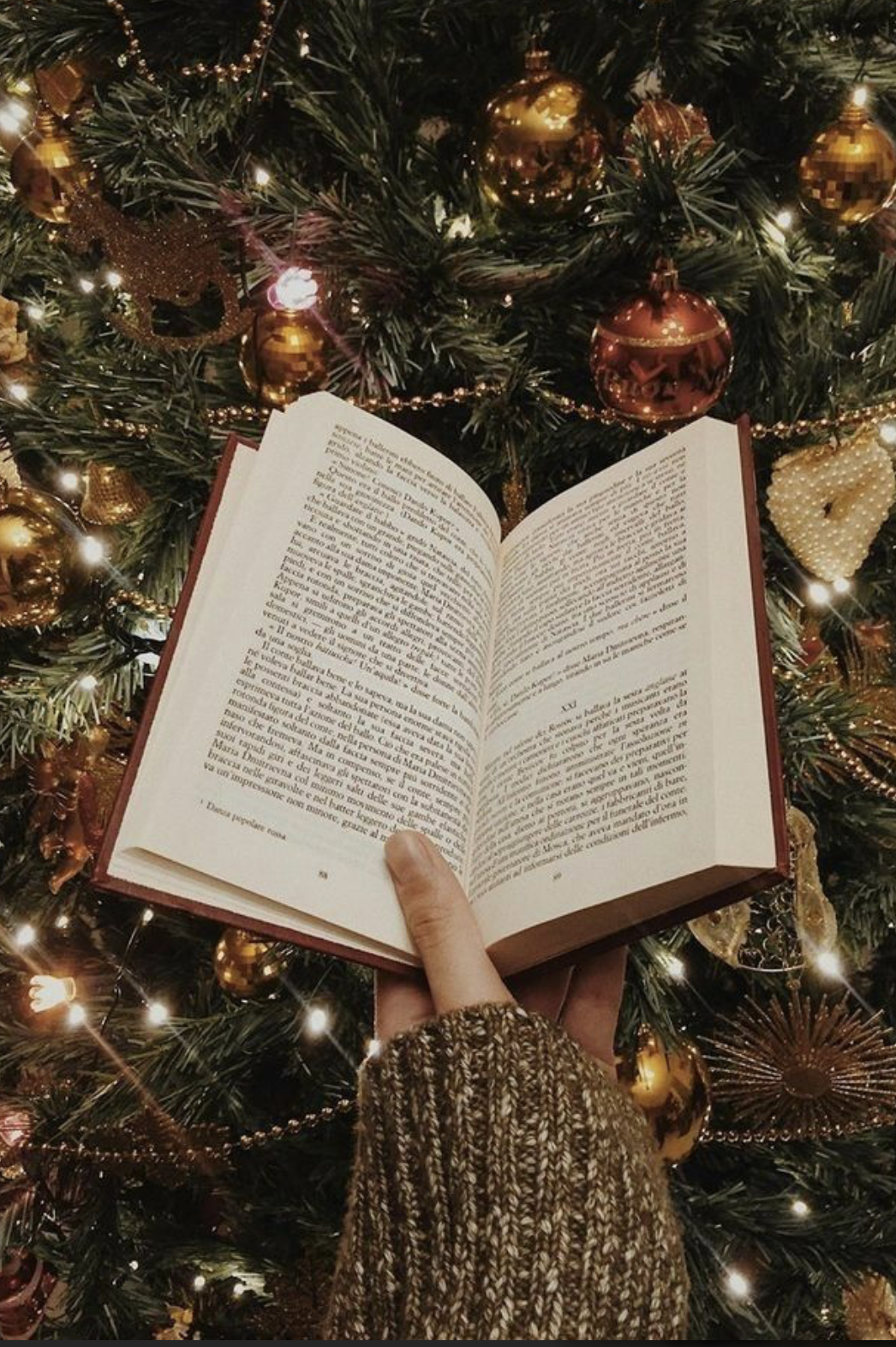 Cozy & Heartwarming Fiction Books to Read at Christmastime